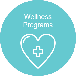  Wellness Programs